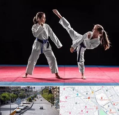 باشگاه تکواندو در خیابان زند شیراز