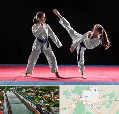 باشگاه تکواندو در مراغه