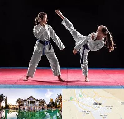 باشگاه تکواندو در شیراز