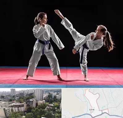 باشگاه تکواندو در اوین