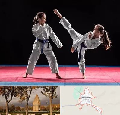 باشگاه تکواندو در تویسرکان