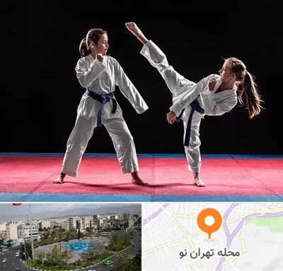 باشگاه تکواندو در تهران نو