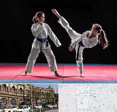 باشگاه تکواندو در منطقه 11 تهران 