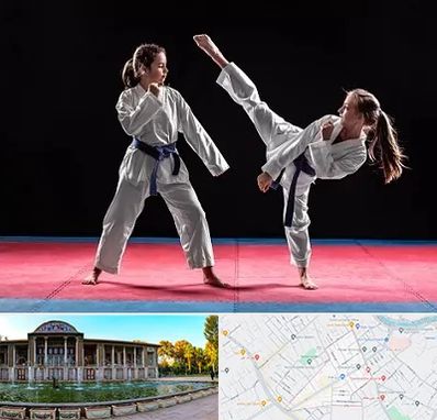 باشگاه تکواندو در عفیف آباد شیراز