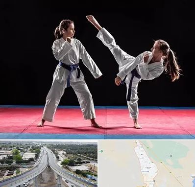 باشگاه تکواندو در اندیمشک