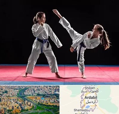 باشگاه تکواندو در اردبیل