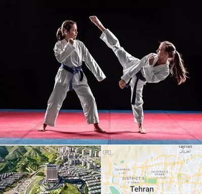 باشگاه تکواندو در شمال تهران 
