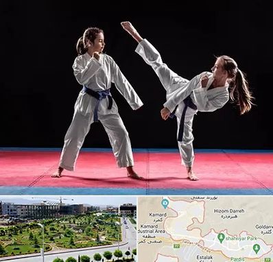 باشگاه تکواندو در پردیس