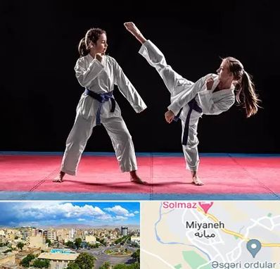 باشگاه تکواندو در میانه