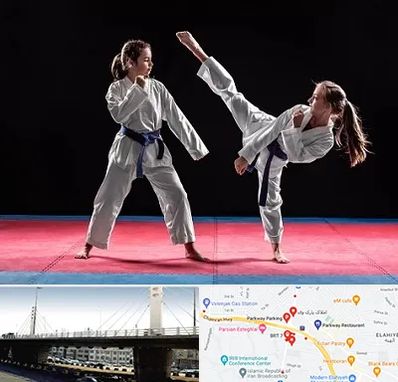 باشگاه تکواندو در پارک وی 