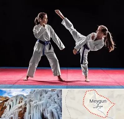 باشگاه تکواندو در میگون