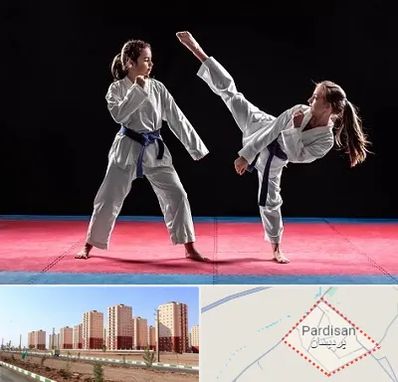 باشگاه تکواندو در پردیسان قم