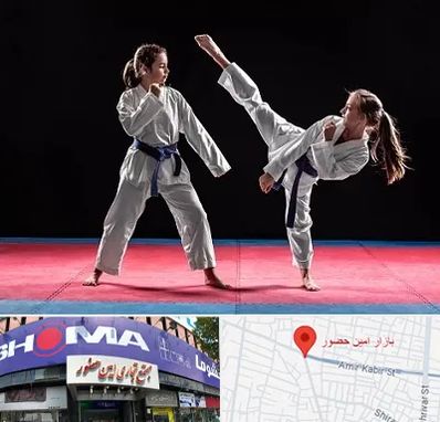 باشگاه تکواندو در امین حضور