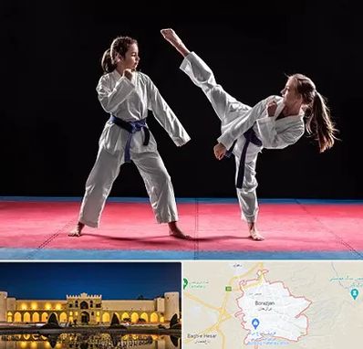 باشگاه تکواندو در برازجان