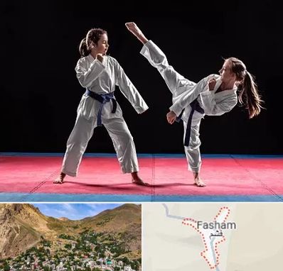 باشگاه تکواندو در فشم