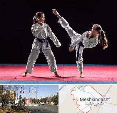 باشگاه تکواندو در مشکین دشت