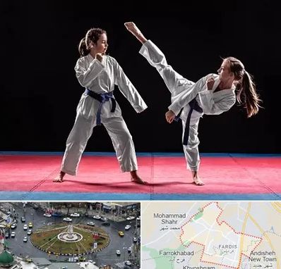 باشگاه تکواندو در فردیس کرج 