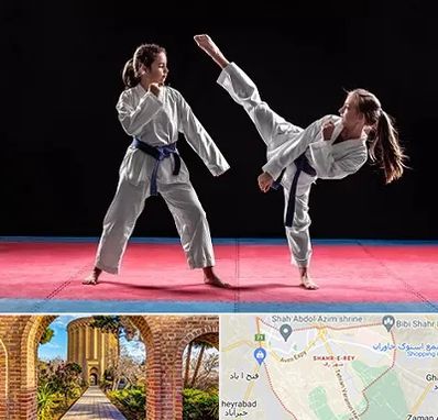 باشگاه تکواندو در شهر ری