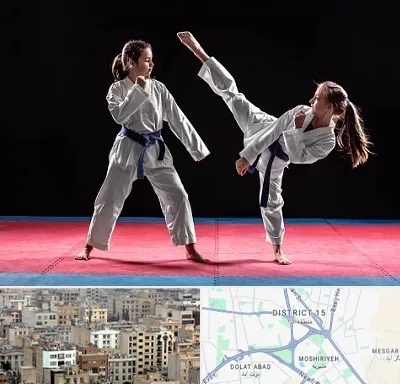 باشگاه تکواندو در جنوب شرق تهران
