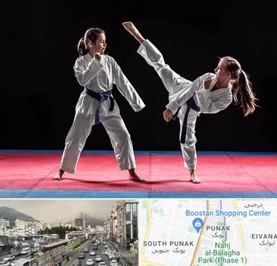 باشگاه تکواندو در پونک 