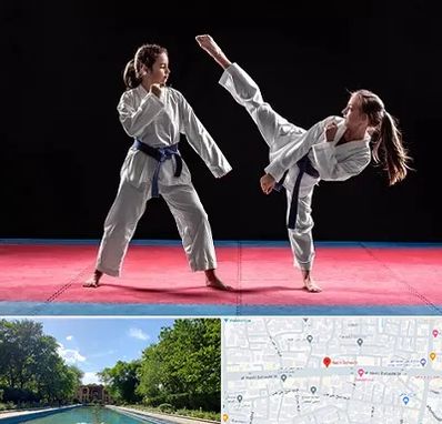 باشگاه تکواندو در هشت بهشت اصفهان