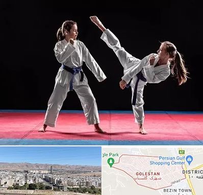 باشگاه تکواندو در شهرک گلستان شیراز