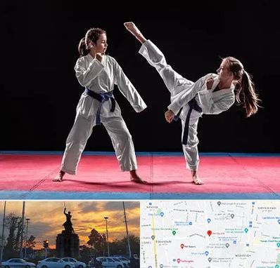 باشگاه تکواندو در میدان حر 