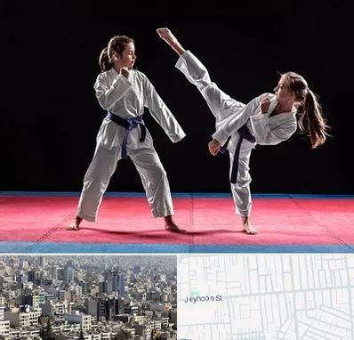 باشگاه تکواندو در جیحون