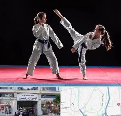 باشگاه تکواندو در ایران زمین