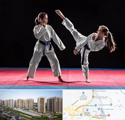 باشگاه تکواندو در المپیک 