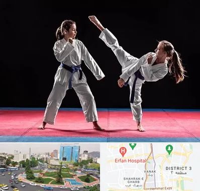 باشگاه تکواندو در ونک 