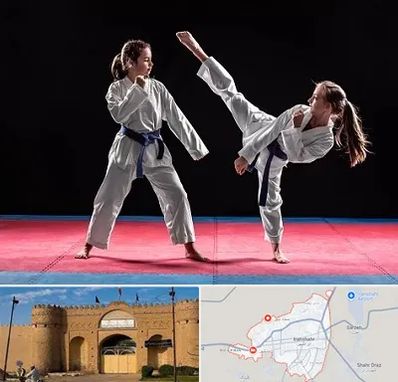 باشگاه تکواندو در ایرانشهر