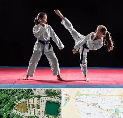 باشگاه تکواندو در وکیل آباد مشهد