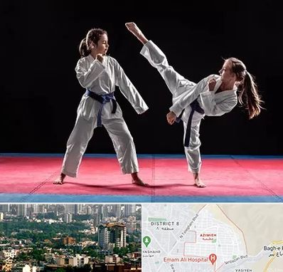 باشگاه تکواندو در عظیمیه کرج 