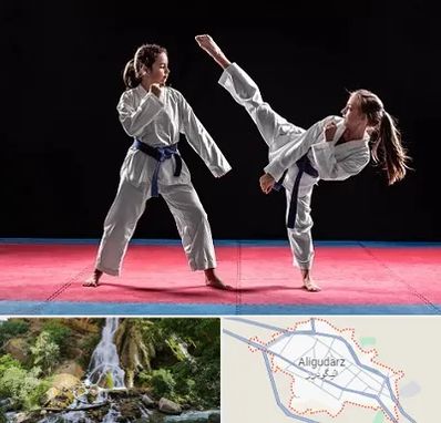 باشگاه تکواندو در الیگودرز