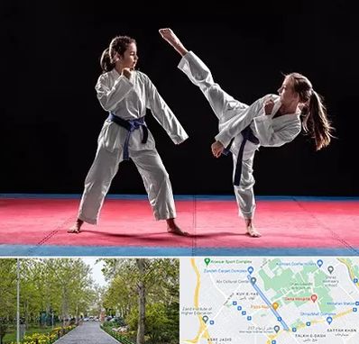 باشگاه تکواندو در قدوسی غربی شیراز