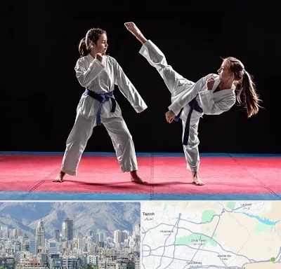 باشگاه تکواندو در شمال شرق تهران