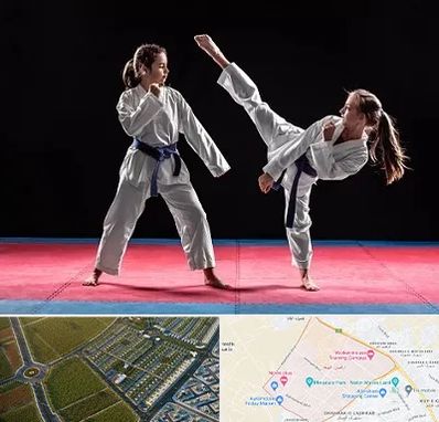 باشگاه تکواندو در الهیه مشهد