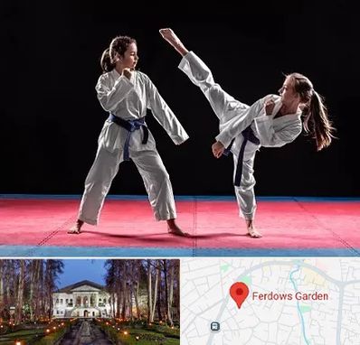 باشگاه تکواندو در باغ فردوس