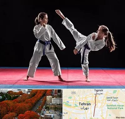 باشگاه تکواندو در ولیعصر 