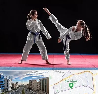 باشگاه تکواندو در سعادت آباد 