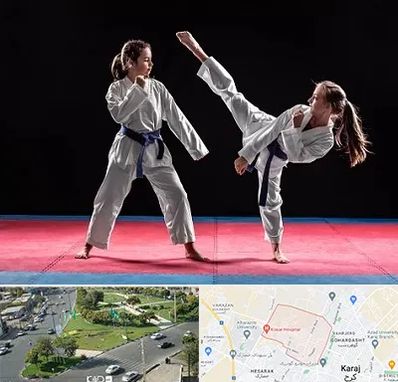 باشگاه تکواندو در شاهین ویلا کرج