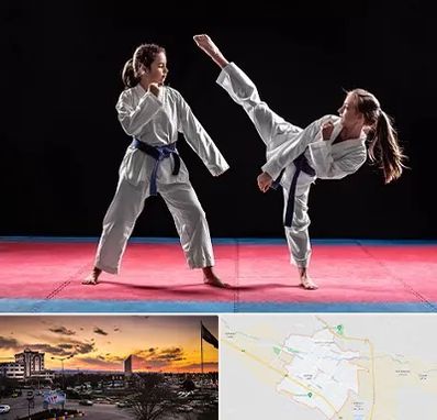 باشگاه تکواندو در قوچان