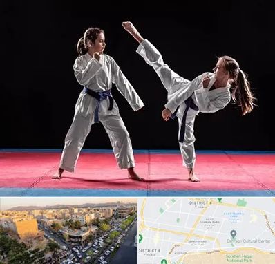 باشگاه تکواندو در تهرانپارس 