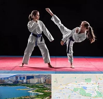 باشگاه تکواندو در منطقه 22 تهران 