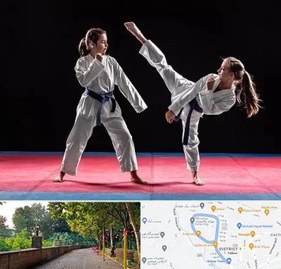 باشگاه تکواندو در فلکه گاز رشت