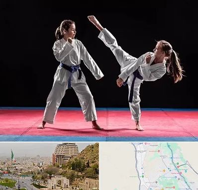 باشگاه تکواندو در فرهنگ شهر شیراز