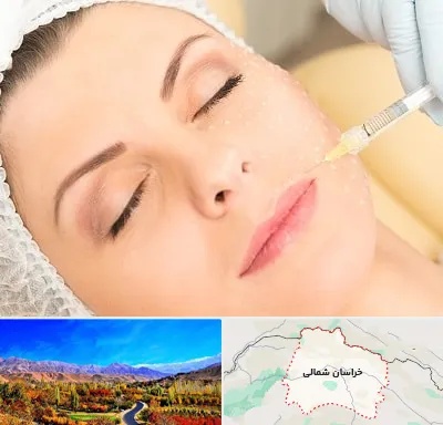 کلینیک تزریق چربی در خراسان شمالی
