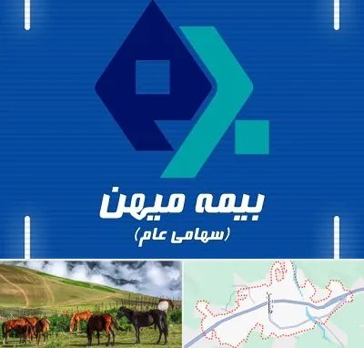 بیمه میهن در تالش