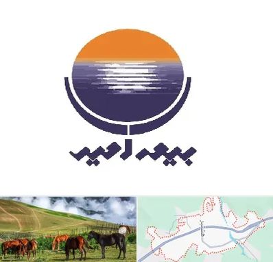 بیمه امید در تالش